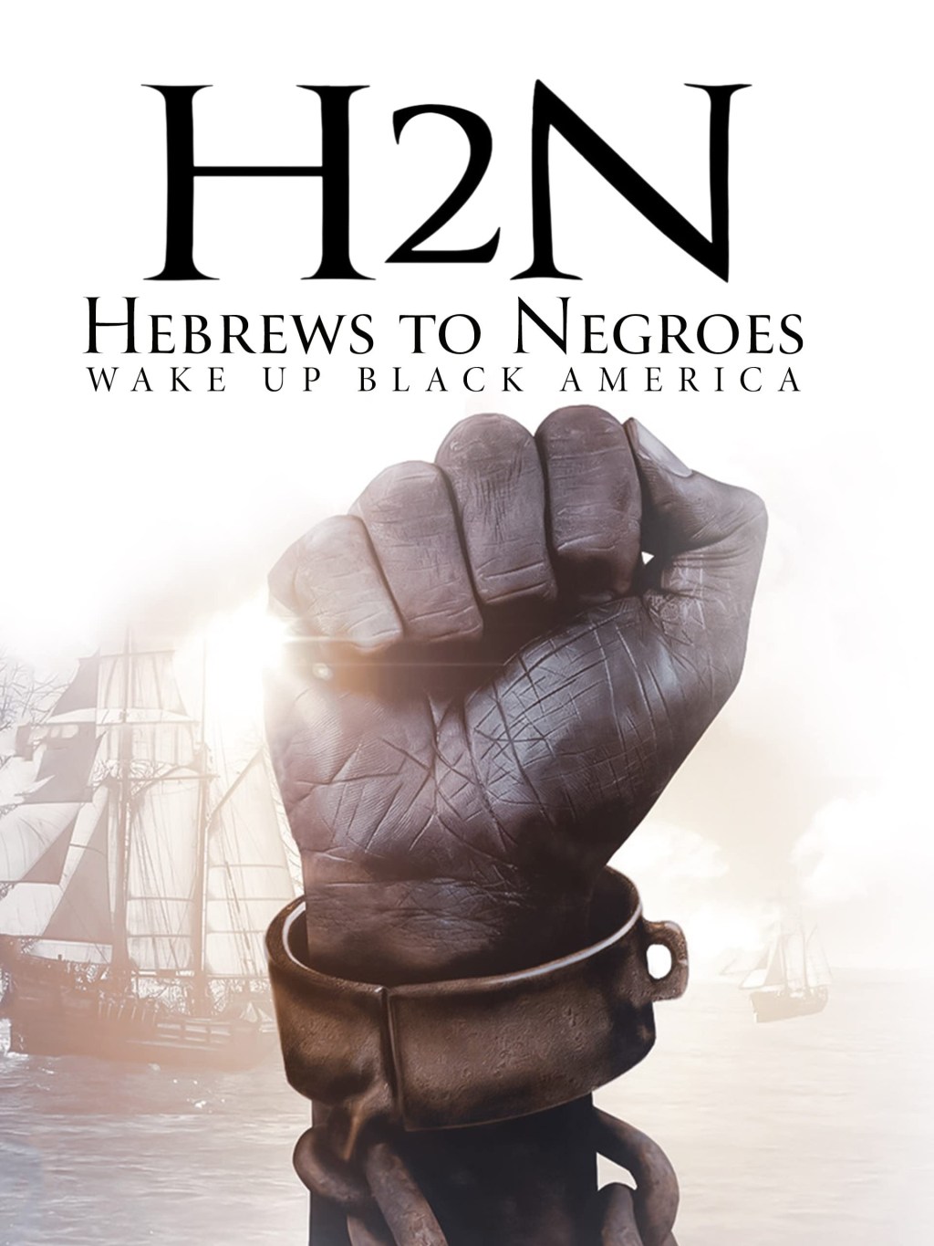 Hebrews to Negroes: Wake Up Black&nbsp;America